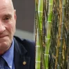 Eike Batista apresenta “supercana” em evento agropecuário em Goiânia e promete revolução no setor