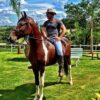 Eduardo Costa sofre prejuízo milionário e emocional com a morte de cavalo avaliado em R$ 7 milhões
