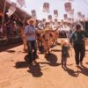 Documentário destaca a fé e tradição dos carreiros na Romaria de Trindade