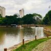Lago das Rosas terá reforma de R$ 2,7 milhões e corte de 48 árvores
