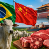 China reconhece Brasil como território livre de febre aftosa