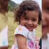 Menina desaparecida completa 2 anos durante buscas em Doverlândia