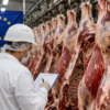 Brasil adota novas regras para exportar carne à União Europeia