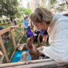 Goiânia oferece 1,5 mil vagas para castração gratuita de cães e gatos