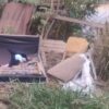 Recém-nascido é encontrado abandonado em lote de MG