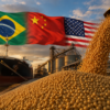 Soja brasileira ganha espaço na disputa entre China e EUA