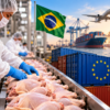 Paraná vê retomada das exportações de frango para a UE