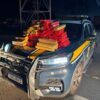 PRF apreende 80 kg de maconha escondidos em veículo