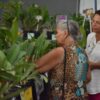 Exposição de orquídeas e rosas do deserto movimenta Aparecida