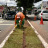 Prefeitura de Goiânia planta 104,9 mil m² de grama em 2026